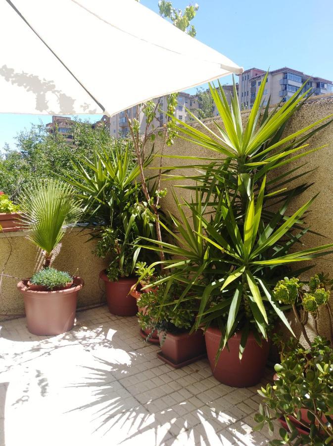 Apartamento Principe Caceres Exterior photo
