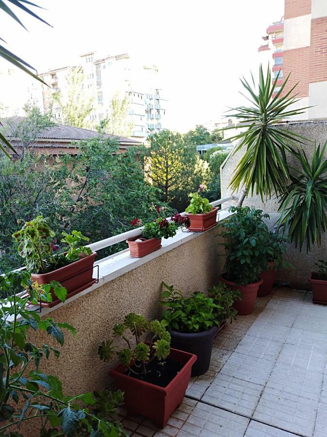 Apartamento Principe Caceres Exterior photo